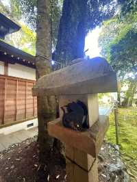 德島｜供奉貓神能心願達成傳說 德島超隱密景點王子神社