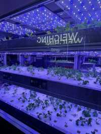 Farm-Fresh Finds in the City – Vegetory at BSC Fine Foods
