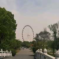 Blossoms and Bliss at Gucun Park