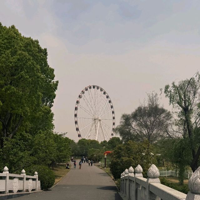 Blossoms and Bliss at Gucun Park