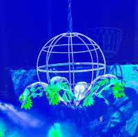 Aqua Circus Phuket