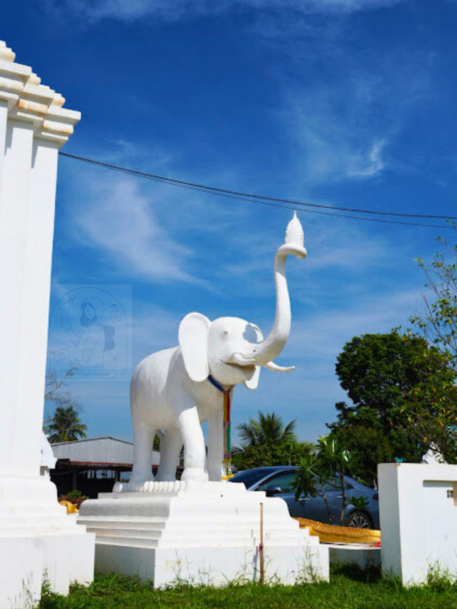 💯วัดโพนโป่งวนาราม