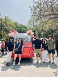 🌸Shenyang in Spring：From Blossoms to Banchan