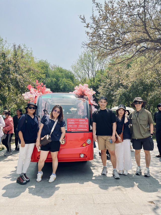 🌸Shenyang in Spring：From Blossoms to Banchan