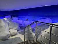 【北海道】年中流氷を触れる場所【オホーツク流氷館】