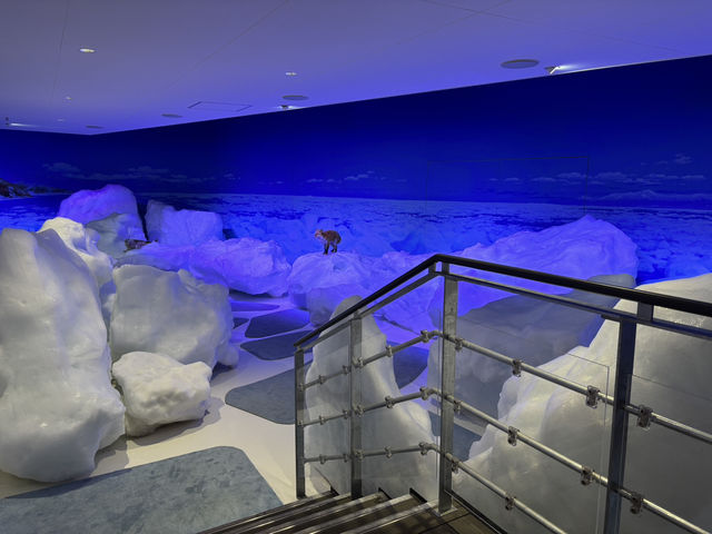 【北海道】年中流氷を触れる場所【オホーツク流氷館】
