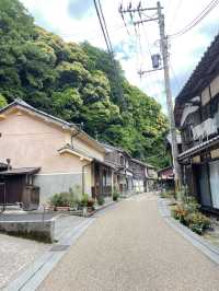 日本のベネチア「伊根の舟屋」で癒しのひとときを