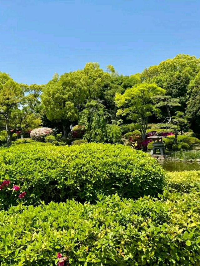 Osaka Castle Park: A Historic Oasis in the Heart of Osaka