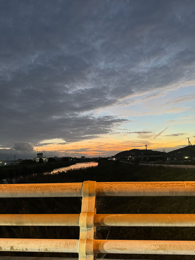 港女五日四夜暴走高松，一日玩三個景點 小丸子都去金多比羅神社，草間彌生南瓜，四國水族館