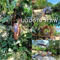 รวมมิตร 9 คาเฟ่น่านั่งในพัทยา