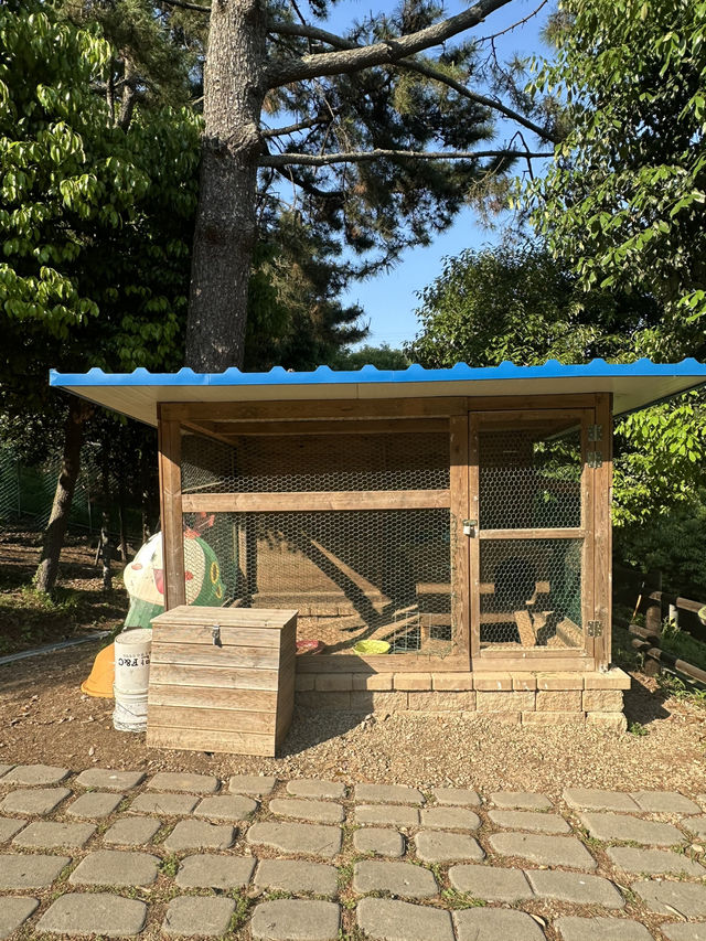 🌳 통영생태숲에서 자연과 한몸이 된 하루! 🍃