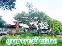 ภูกาษาวาเล่ย์ แม่สอด ทั้งที่พัก คาเฟ่ และออนเซ็น 
