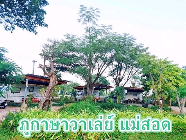 ภูกาษาวาเล่ย์ แม่สอด ทั้งที่พัก คาเฟ่ และออนเซ็น 