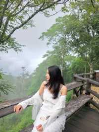 KhaoYai 🌳🍃