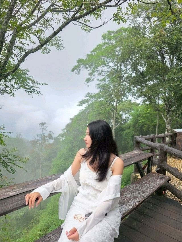 KhaoYai 🌳🍃