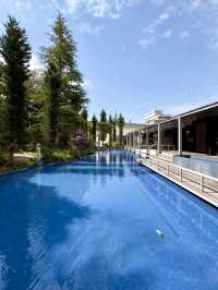 Art & Café Hopping in Dogo – Glass, Gardens & Great Views
