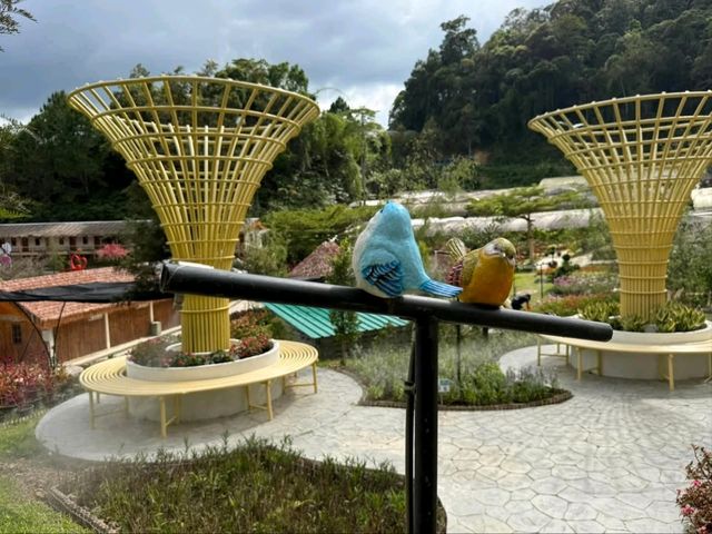 Winter Flower Garden, Betong - A Dreamy Floral Wonderland in Southern Thailand