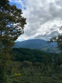 Spring Wanders in Magome