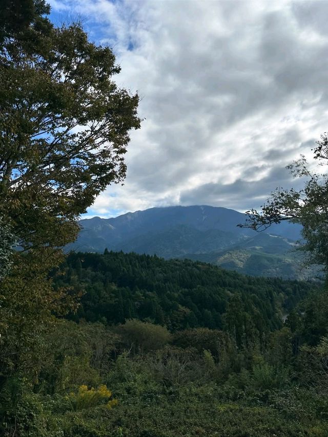 Spring Wanders in Magome