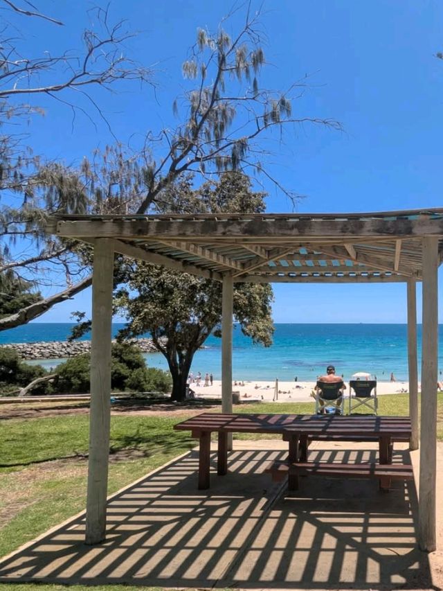 🌞 Perth’s Beach Beauty: Why Cottesloe Should Be on Your Bucket List! 🌊