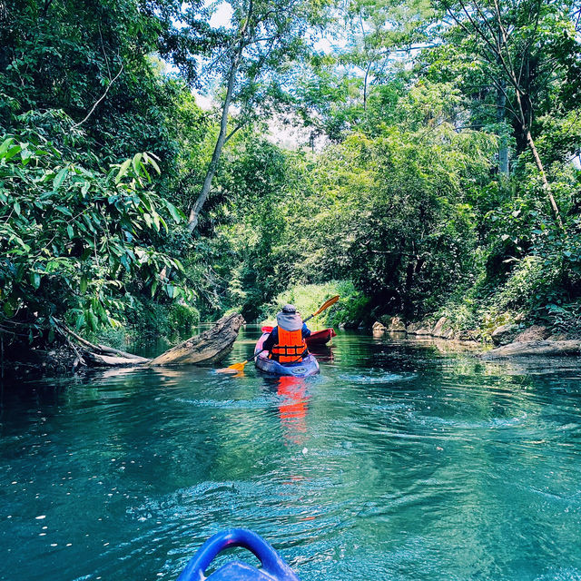 #พายเรือคายัค #ชมธรรมชาติ #น้ำผุดธรรมชาติเขาใหญ่💦
