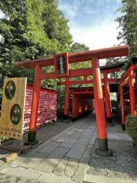A Slow & Charming Stroll in Inuyama