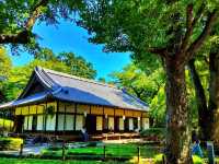 Tokyo National Museum – A Timeless Journey Through Japanese Art & History