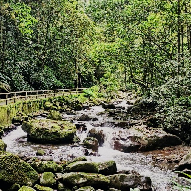 Breath deeply and connect with nature.