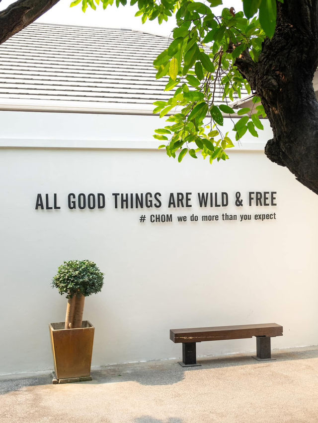 ชมคาเฟ่ เชียงใหม่  (CHOM CAFE AND RESTAURANT)