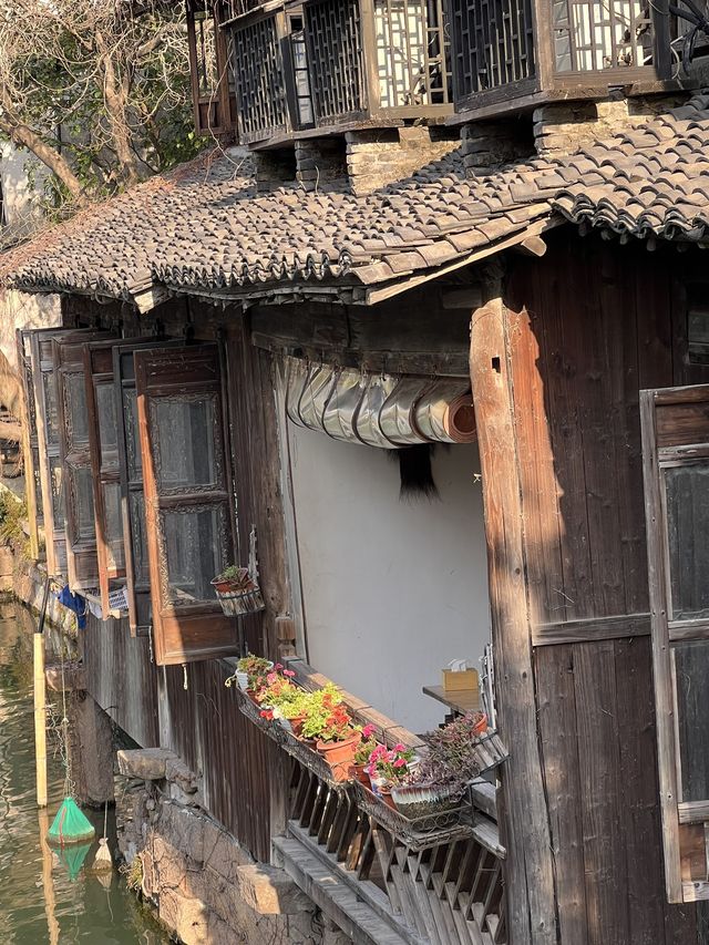 A Memorable Trip to Wuzhen