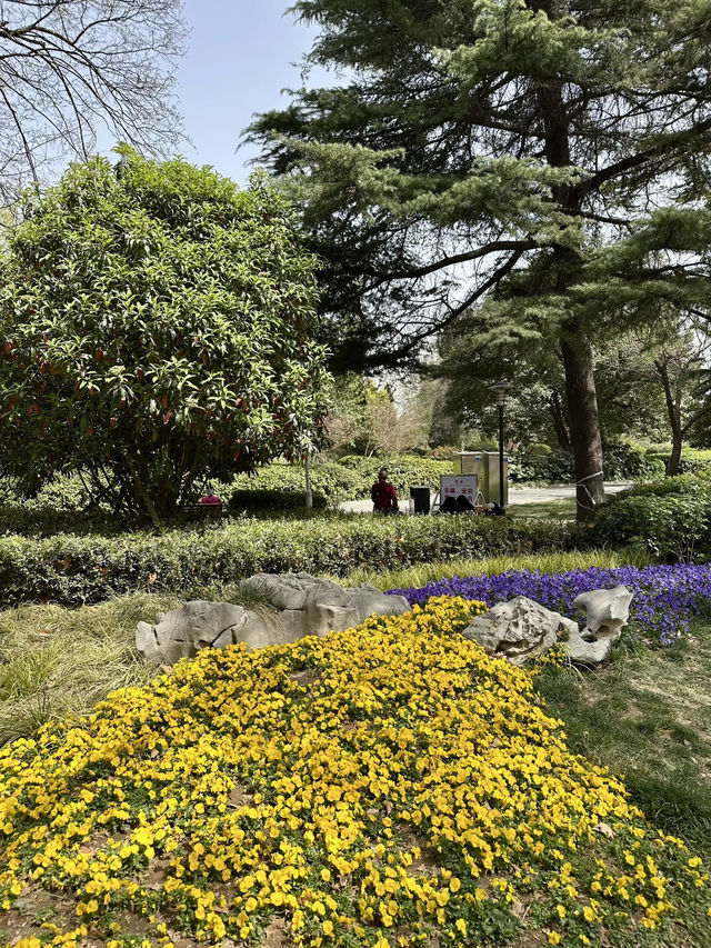 Hidden Heritage in the Heart of Zhengzhou – Discovering Hu Gong Shrine