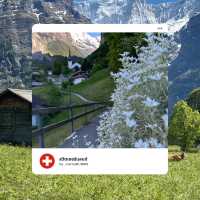🇨🇭✨ สวิตเซอร์แลนด์ – ดินแดนในฝันที่มีอยู่จริง 🏔️