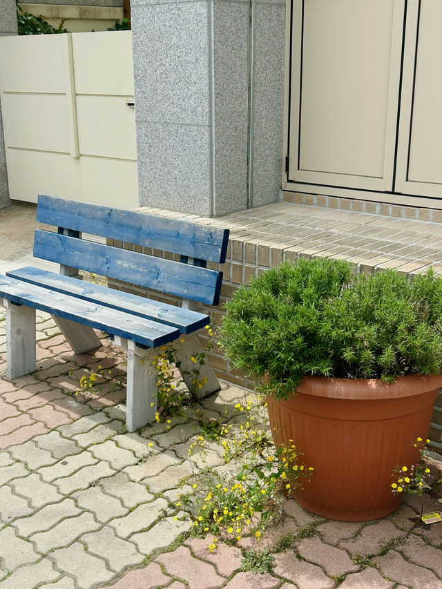 ️ 따뜻한 감성 한 스푼, 카페 오앙트🤍☕️🌻