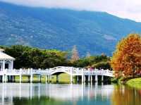 花蓮小旅行親子同遊好去處-新光兆豐悠閒好時光