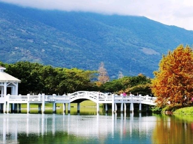 花蓮小旅行親子同遊好去處-新光兆豐悠閒好時光