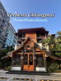 Verbena Chiangmai✨