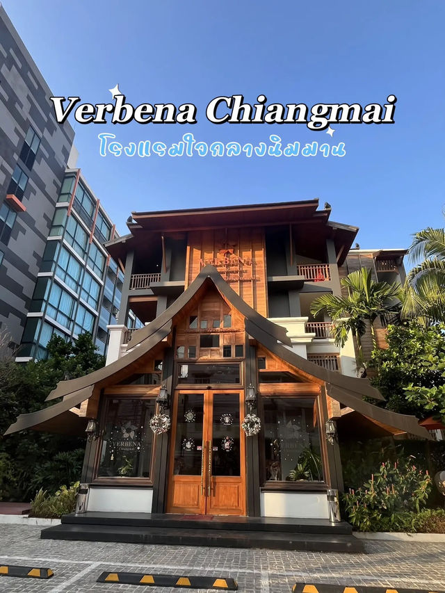 Verbena Chiangmai✨