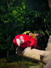 “Tambun Treasures: Nature, Thrills & Hot Springs”