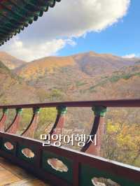 밀양 힐링여행 다녀왔습니다! - 밀양여행지 💛🍀🌿