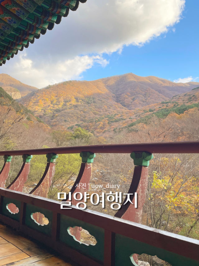 밀양 힐링여행 다녀왔습니다! - 밀양여행지 💛🍀🌿