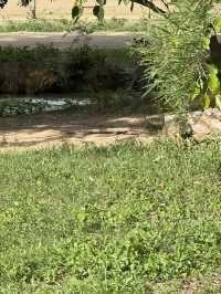 北碧府野生動物園