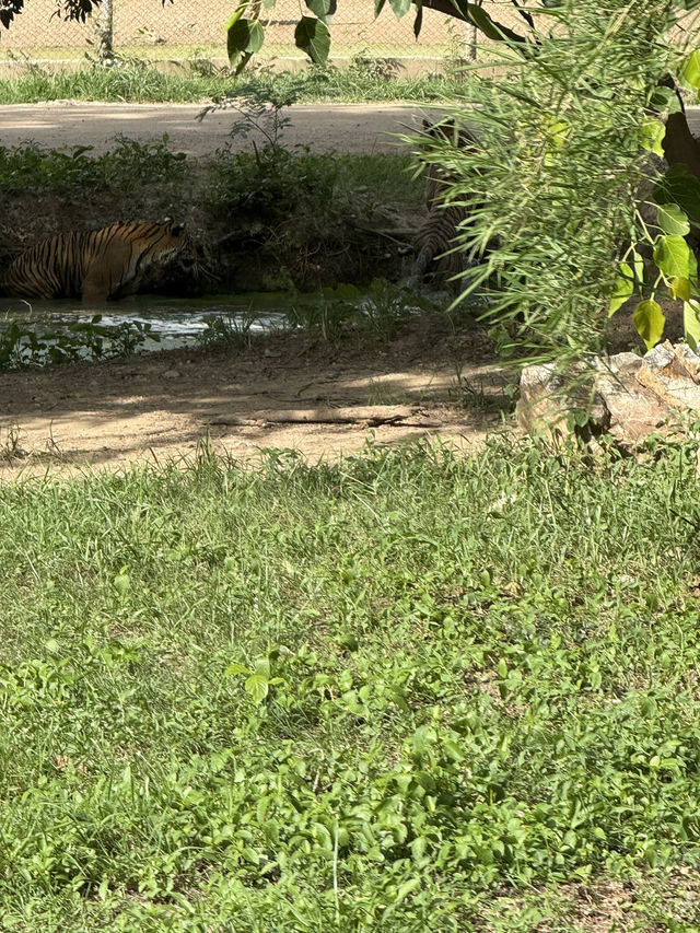 北碧府野生動物園