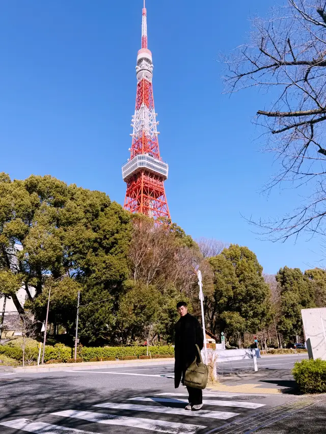 **Tokyo Tower Photo Spots Revealed!**