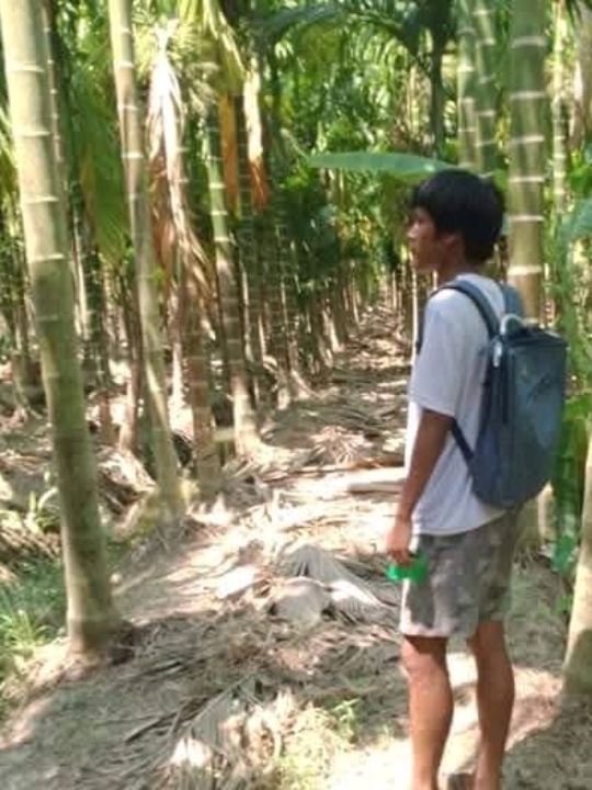 A Trip to a Betel Nut Farm