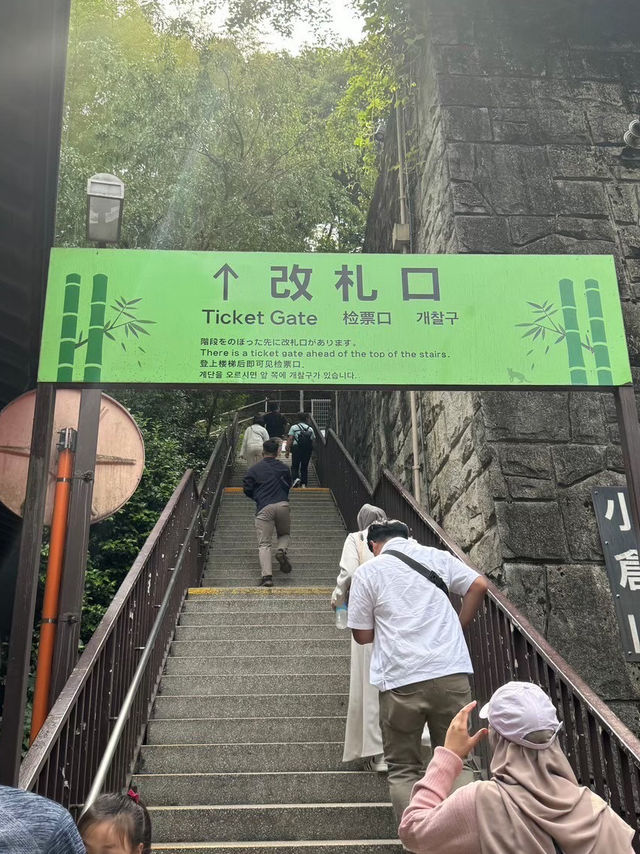 🚂 รถไฟโรแมนติกเกียวโต – นั่งรถช้าๆให้หัวใจได้พัก