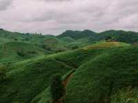 ขับรถเที่ยวหน้าฝน… ชมวิวถนนลอยฟ้า​ 