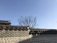 The beauty of Suwon 