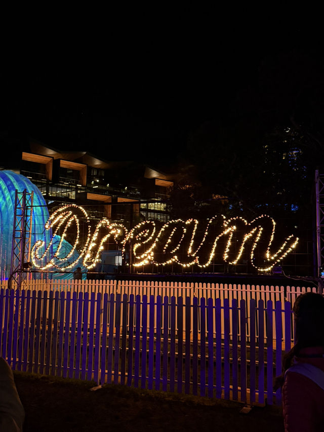 🇦🇺 VIVID Light Show in Sydney