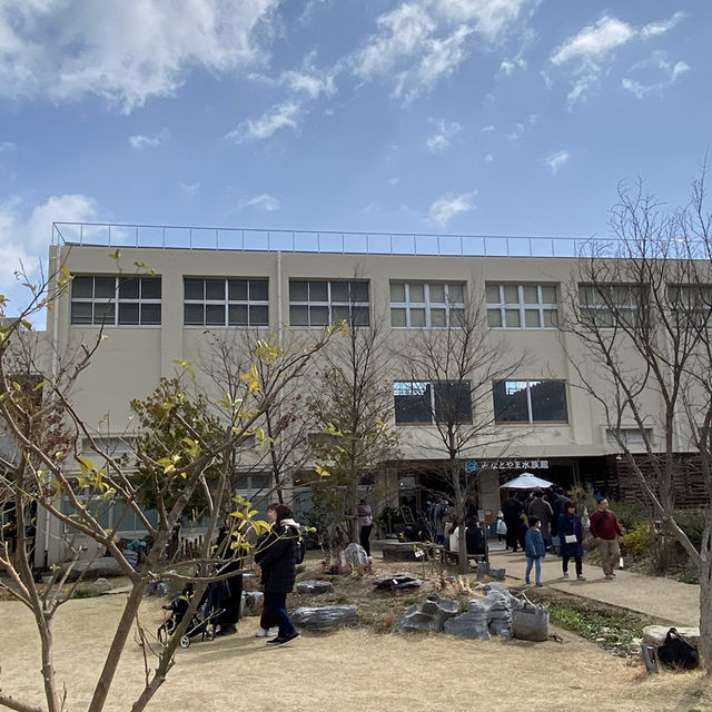 【廃校水族館】みなとやま水族館がエモすぎた🐟🏫