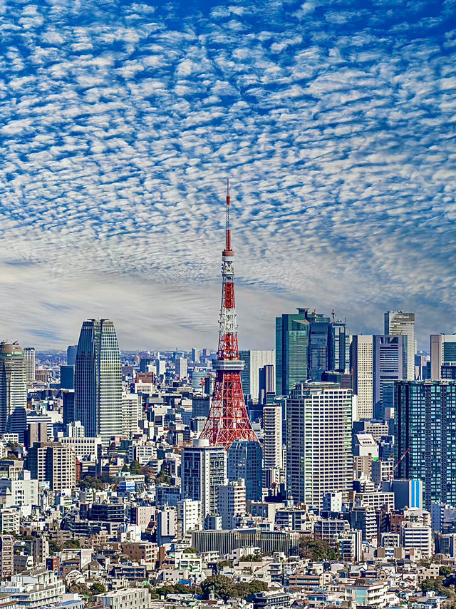 โอซาก้า🇯🇵
